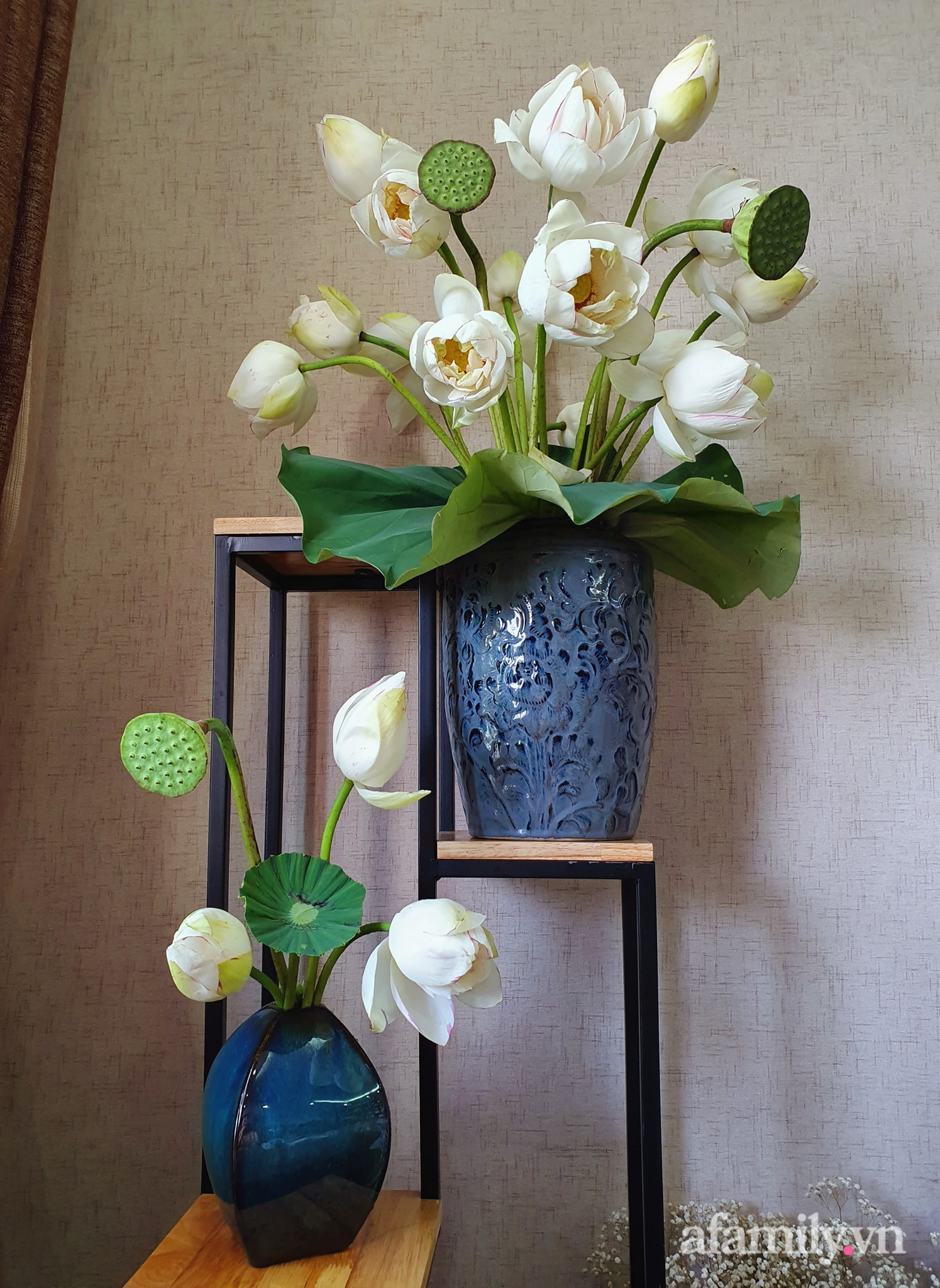 Ban công 6m² đẹp bình dị của chủ nhân dành tình yêu đặc biệt cho sen đá ở Hà Nội - Ảnh 27. Ban công 6m² đẹp bình dị của chủ nhân dành tình yêu đặc biệt cho sen đá ở Hà Nội - Ảnh 27.