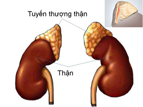 Lười sinh hoạt vợ chồng: Được 1 mất 5 - Ảnh 2.