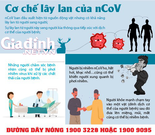 Qua 1 đêm, thế giới có hơn 2.500 người mắc, 1.018 ca tử vong vì nCoV - Ảnh 5.