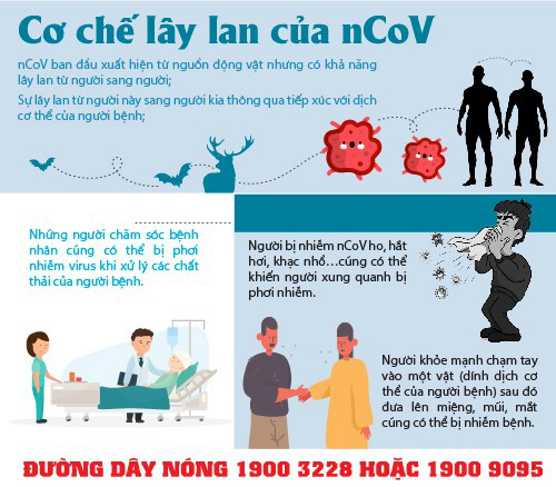 Hải Phòng: Hàng quán ế ẩm vì ảnh hưởng của COVID-19 - Ảnh 7.