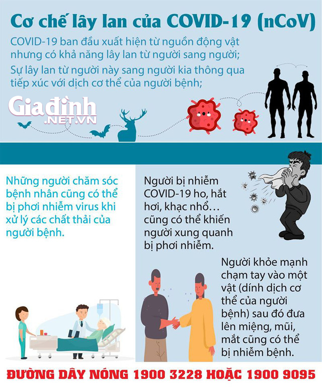 Dịch COVID-19: Những gì chúng ta biết cho đến nay - Ảnh 4.