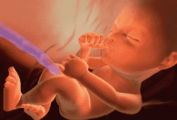 Các mốc siêu âm, khám thai mẹ bầu cần nhớ để sinh con khỏe mạnh - Ảnh 2.