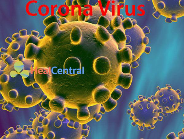 Điều kiện thời tiết lý tưởng nào giúp virus corona nCoV sinh sôi phát triển? - Ảnh 2.