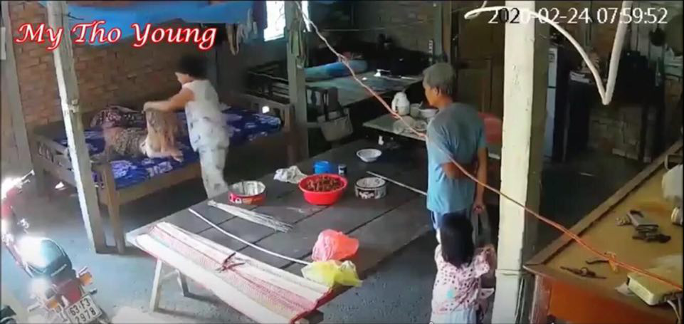 Những nghĩ suy về vụ mẹ già 88 tuổi bị con trai và con dâu bạo hành - Ảnh 1. Những nghĩ suy về vụ mẹ già 88 tuổi bị con trai và con dâu bạo hành - Ảnh 1.