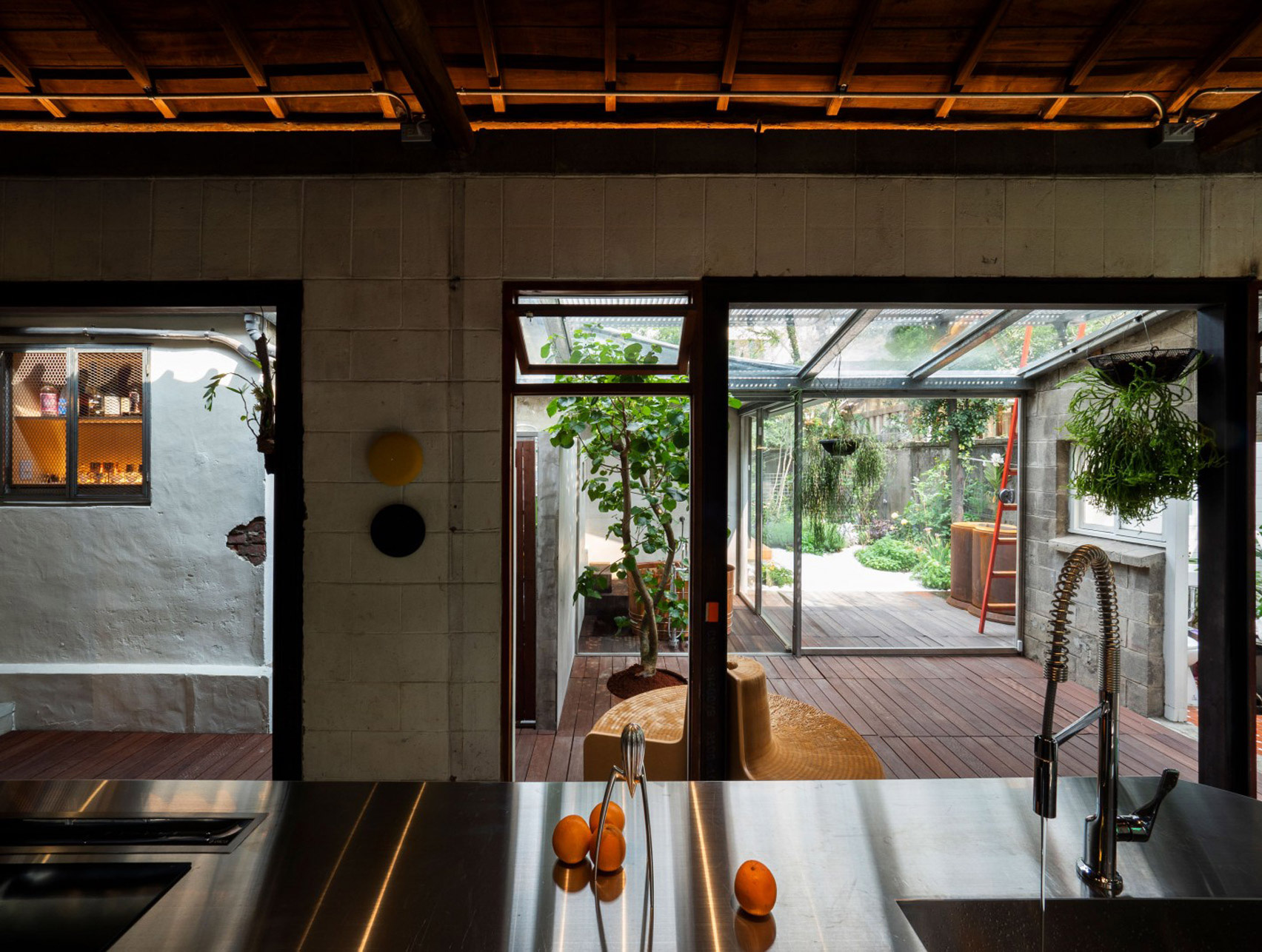 Biến ký túc xá cũ mèm thành ngôi nhà đầy cây xanh thu hút mọi lời trầm trồ - Ảnh 4. Biến ký túc xá cũ mèm thành ngôi nhà đầy cây xanh thu hút mọi lời trầm trồ - Ảnh 4.