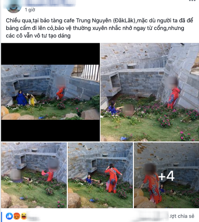 Bất chấp biển cấm, nhóm người phụ nữ mặc áo dài vẫn ngồi, nằm lên cỏ để chụp ảnh, tạo dáng ở bảo tàng cafe, nhận gạch đá từ dân mạng - Ảnh 1. Bất chấp biển cấm, nhóm người phụ nữ mặc áo dài vẫn ngồi, nằm lên cỏ để chụp ảnh, tạo dáng ở bảo tàng cafe, nhận gạch đá từ dân mạng - Ảnh 1.