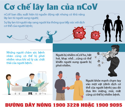 Người thứ 13 ở Việt Nam dương tính nCoV dù không biểu hiện triệu chứng - Ảnh 4.