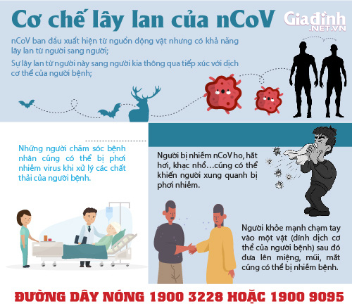 Ngày hội tòng quân trong mùa dịch corona có một không hai  - Ảnh 11.