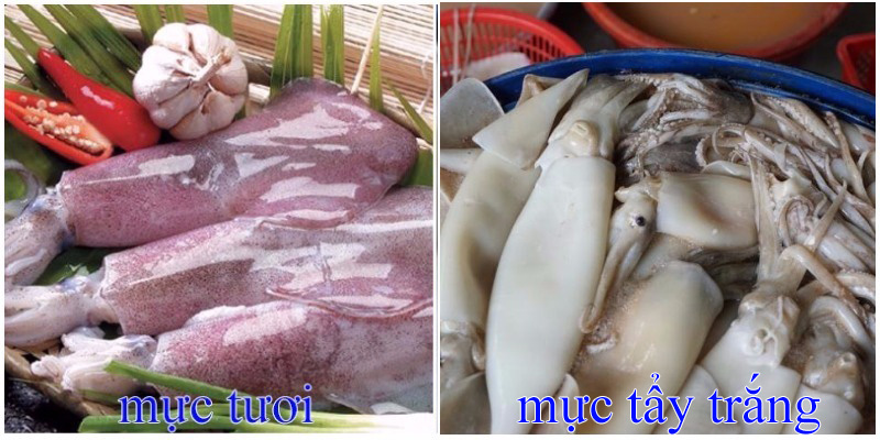 Mẹo chọn mực chuẩn tươi ngon như d&acirc;n biển ch&iacute;nh hiệu, lật tẩy mực bị tẩy trắng - Ảnh 5.