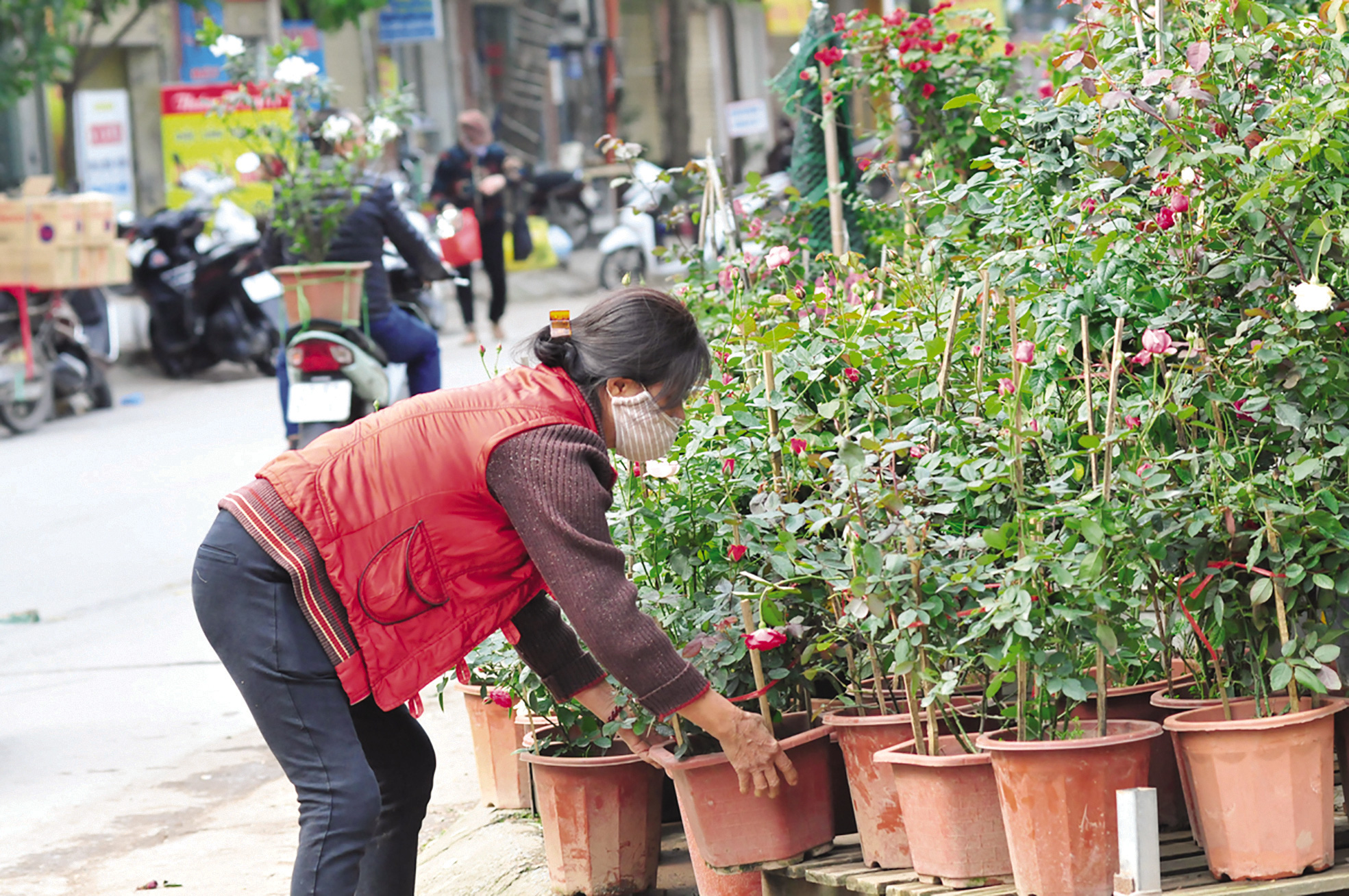 Độc đáo chợ hoa, cây cảnh họp theo phiên - Ảnh 6. Độc đáo chợ hoa, cây cảnh họp theo phiên - Ảnh 6.