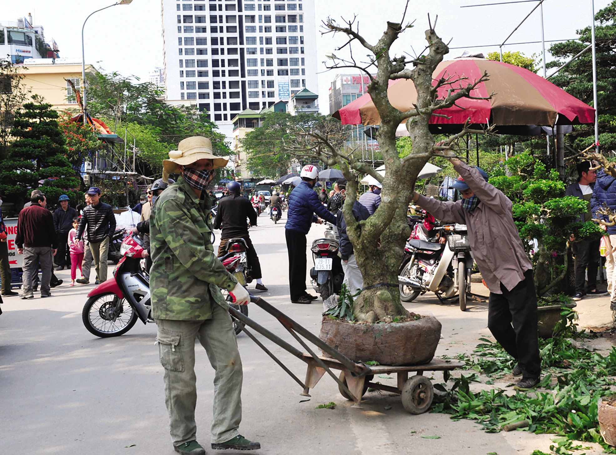 Độc đáo chợ hoa, cây cảnh họp theo phiên - Ảnh 9. Độc đáo chợ hoa, cây cảnh họp theo phiên - Ảnh 9.