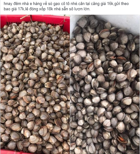 Sò gạo giá rẻ sập sàn chỉ 17.000 đồng/kg được bán đầy trên chợ mạng - Ảnh 1.