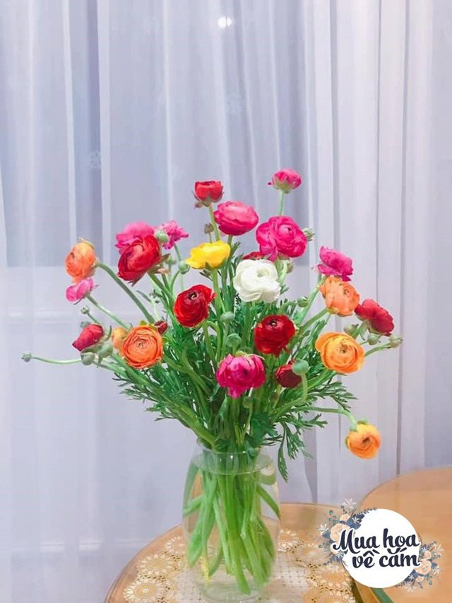 Muôn kiểu cắm hoa mao lương đẹp “không đụng hàng”, nhà mẹ Việt rực sắc đón ngày 8/3 - Ảnh 3.