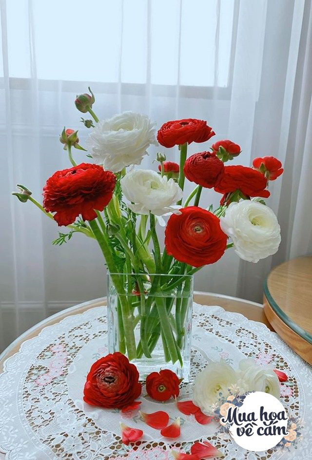 Muôn kiểu cắm hoa mao lương đẹp “không đụng hàng”, nhà mẹ Việt rực sắc đón ngày 8/3 - Ảnh 4.