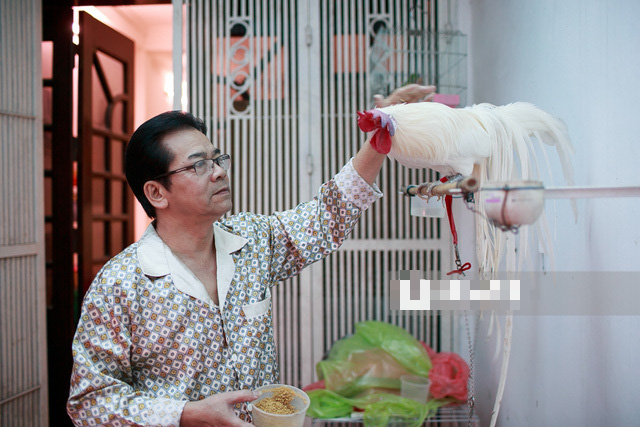 Nam diễn viên nổi tiếng đóng cảnh nóng đầu tiên của phim Việt nuôi gà, trồng cây trong ngôi nhà Hà Nội - Ảnh 6.