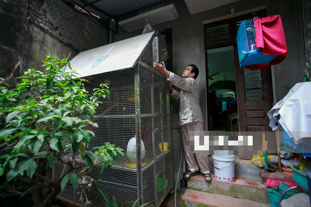 Nam diễn viên nổi tiếng đóng cảnh nóng đầu tiên của phim Việt nuôi gà, trồng cây trong ngôi nhà Hà Nội - Ảnh 7.