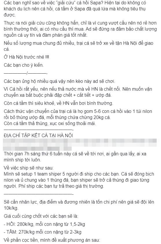 Cá hồi Sapa giá rẻ, nhiều chị em ôm số lượng nhiều bán online kiếm cả triệu/ngày - Ảnh 10.