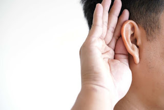 Giải pháp cải thiện điếc tai an toàn, hiệu quả từ thảo dược thiên nhiên - Ảnh 2.