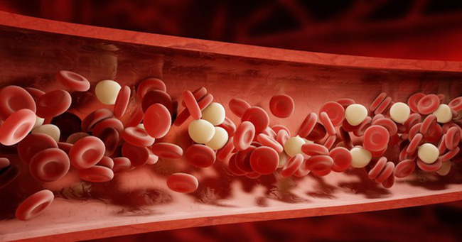 Phụ nữ có tuổi thọ cao, trên cơ thể sẽ xuất hiện dấu hiệu 1 dày, 2 mềm: Hãy kiểm tra ngay xem bạn có đủ hay không - Ảnh 2. Phụ nữ có tuổi thọ cao, trên cơ thể sẽ xuất hiện dấu hiệu 1 dày, 2 mềm: Hãy kiểm tra ngay xem bạn có đủ hay không - Ảnh 2.