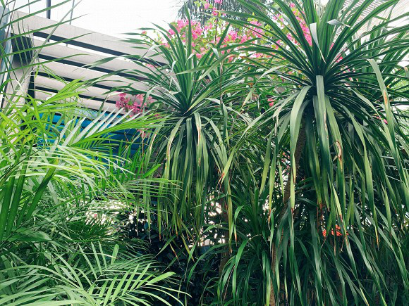 Khu vườn ngập tràn hoa và cây xanh trong căn villa trên không trị giá hơn 70 tỷ đồng của Nathan Lee - Ảnh 15.