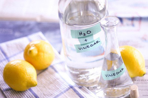 Mẹo chinh phục mẹ chồng khi khiến đồ thủy tinh trong nhà luôn sáng bóng của con dâu khéo tay - Ảnh 5.