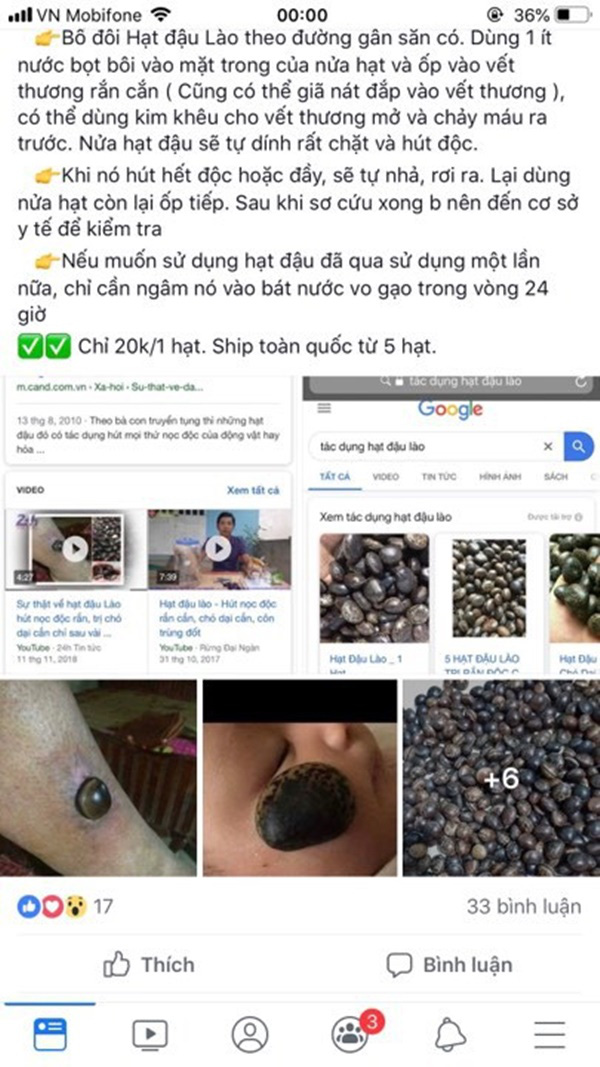 Sự thật về hạt đậu Lào có giá “cắt cổ” được quảng cáo là thần dược vẫn được nhiều người lùng mua - Ảnh 3. Sự thật về hạt đậu Lào có giá “cắt cổ” được quảng cáo là thần dược vẫn được nhiều người lùng mua - Ảnh 3.