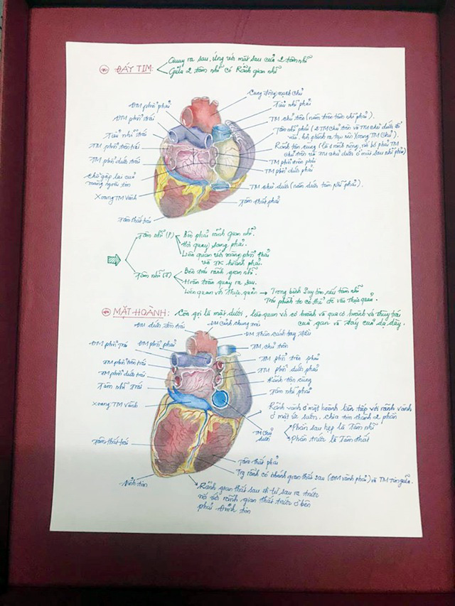  Nam sinh có biệt tài vẽ giải phẫu cơ thể người chi tiết khó tin  - Ảnh 10.