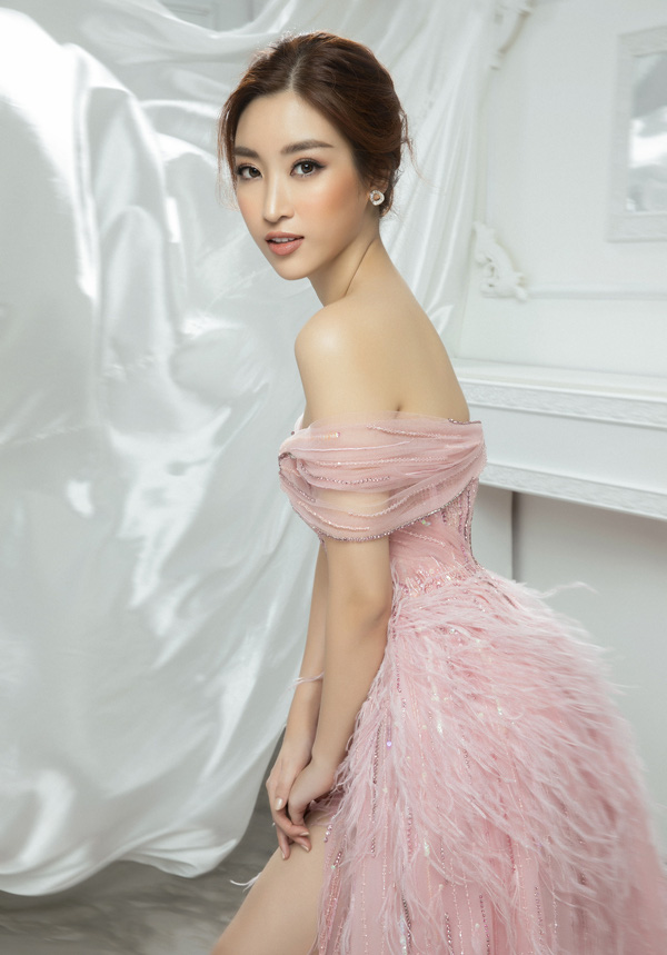 4 năm sau ngày đăng quang, Đỗ Mỹ Linh sẽ có vai trò gì trong Hoa hậu Việt Nam 2020 - Ảnh 3.
