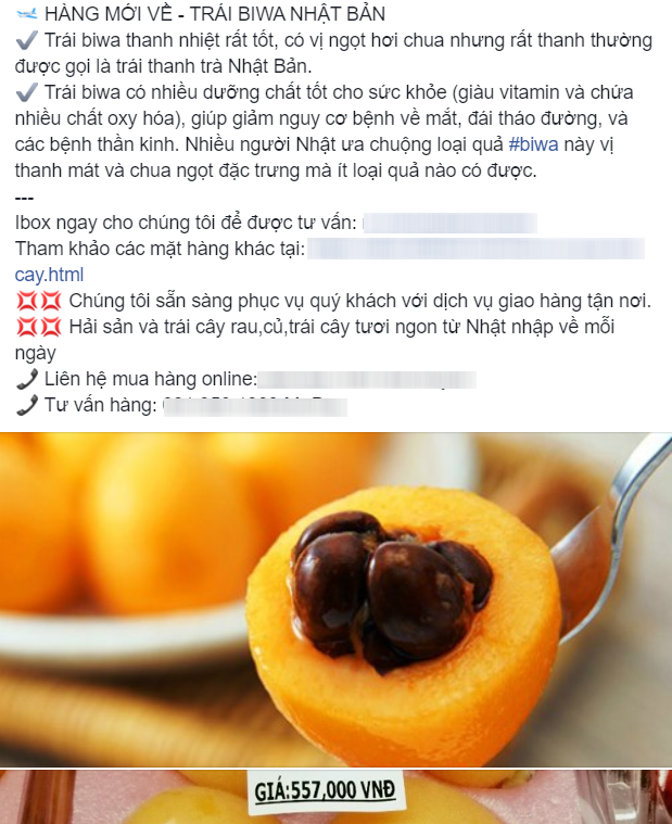 Thứ quả nh&agrave; gi&agrave;u 3-4 triệu/kg ở Việt Nam, b&ecirc;n Nhật cho kh&ocirc;ng cả rổ - Ảnh 8.