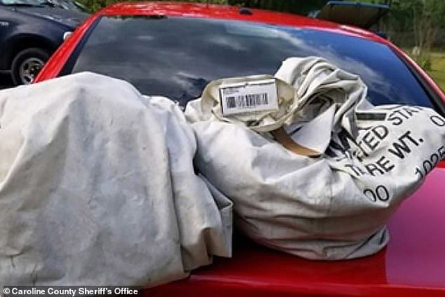 Dừng xe giữa đường để nhặt 2 túi rác, vô tình phát hiện cả một gia tài gần 1 triệu USD - Ảnh 1.