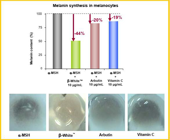 Tại sao công nghệ chống nám từ Beta White hướng đích dạng Liposome hiệu quả hơn hẳn một số phương pháp khác? - Ảnh 3.