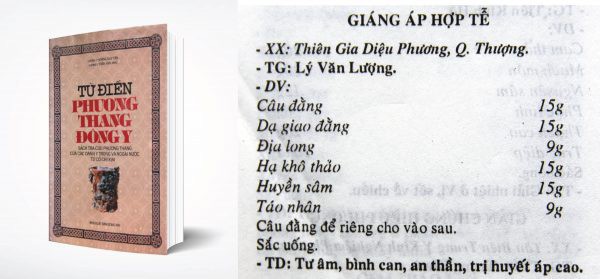 Giải pháp hỗ trợ giảm nguy cơ tai biến cho người cao huyết áp - Ảnh 3.