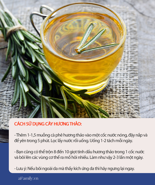 Muốn cơ thể thơm tho suốt cả ngày trong mùa hè, hãy dùng 7 loại thực phẩm này, vừa rẻ tiền lại công dụng tức thì - Ảnh 6. Muốn cơ thể thơm tho suốt cả ngày trong mùa hè, hãy dùng 7 loại thực phẩm này, vừa rẻ tiền lại công dụng tức thì - Ảnh 6.