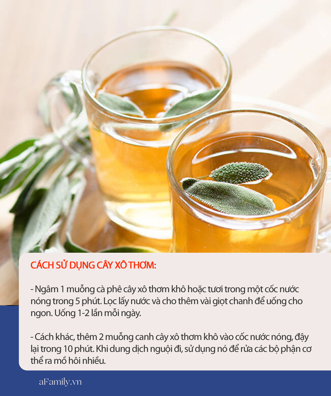 Muốn cơ thể thơm tho suốt cả ngày trong mùa hè, hãy dùng 7 loại thực phẩm này, vừa rẻ tiền lại công dụng tức thì - Ảnh 7. Muốn cơ thể thơm tho suốt cả ngày trong mùa hè, hãy dùng 7 loại thực phẩm này, vừa rẻ tiền lại công dụng tức thì - Ảnh 7.