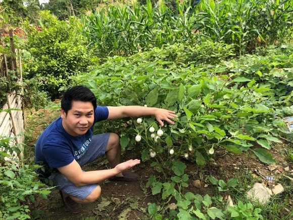 Khu vườn trong hai căn biệt thự của Ông hoàng nhạc đỏ Trọng Tấn - Ảnh 31.