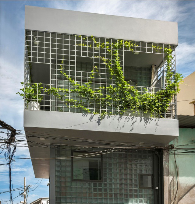 Ngỡ ngàng nhà kính 18m2 độc đáo được cải tạo từ nhà hoang ở Sài Gòn - Ảnh 1.