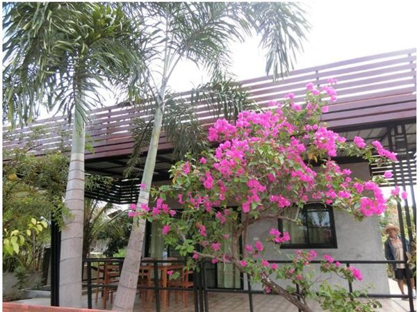 Ngôi nhà cấp 4 xây dựng đơn giản nhưng sở hữu khoảng sân rộng đủ để ngắm trọn vẻ đẹp xanh tươi của thiên nhiên xung quanh - Ảnh 3. Ngôi nhà cấp 4 xây dựng đơn giản nhưng sở hữu khoảng sân rộng đủ để ngắm trọn vẻ đẹp xanh tươi của thiên nhiên xung quanh - Ảnh 3.