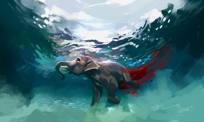 Dân mạng phẫn nộ vì voi mẹ mang thai chết khi ăn dứa nhồi thuốc nổ - Ảnh 4. Dân mạng phẫn nộ vì voi mẹ mang thai chết khi ăn dứa nhồi thuốc nổ - Ảnh 4.