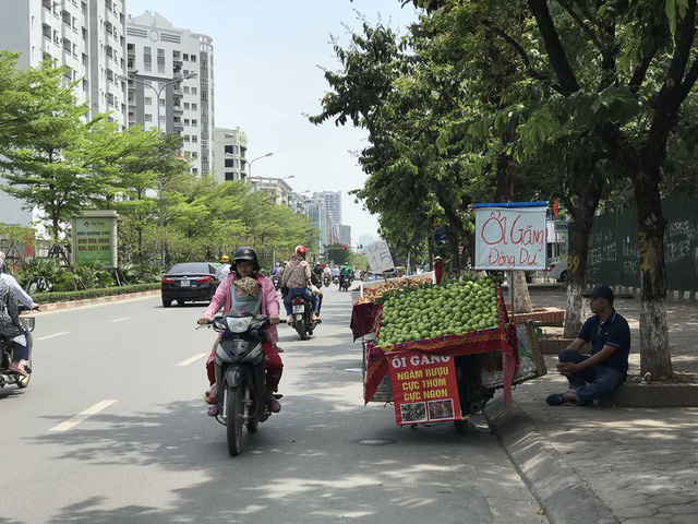  Hoa quả siêu rẻ tràn vỉa hè: Người tiêu dùng cẩn thận tránh sập bẫy  - Ảnh 1.