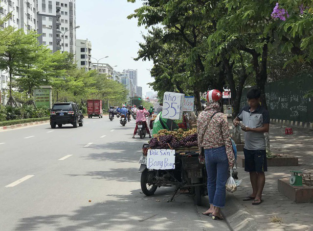  Hoa quả siêu rẻ tràn vỉa hè: Người tiêu dùng cẩn thận tránh sập bẫy  - Ảnh 6.