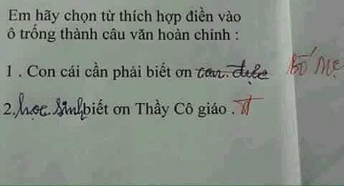 Cười chảy nước mắt với bài tập tiếng Việt của học sinh tiểu học - Ảnh 5.