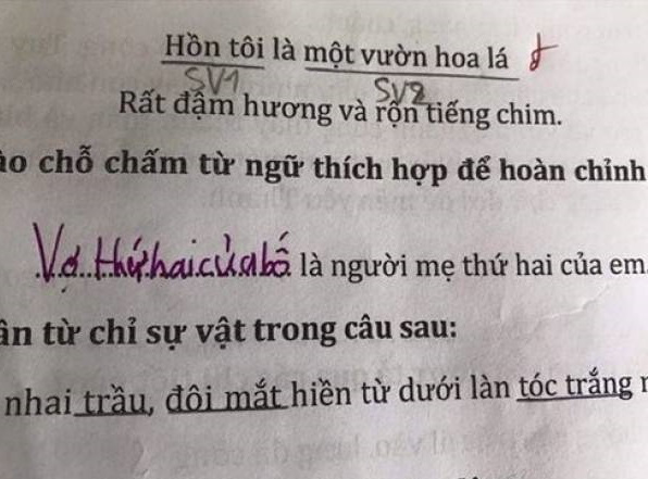 Cười chảy nước mắt với bài tập tiếng Việt của học sinh tiểu học - Ảnh 6.