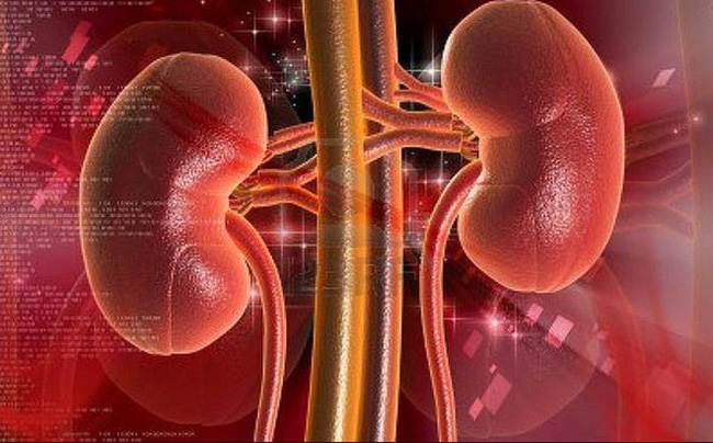 Có 5 món ăn màu trắng là thần dược dành riêng cho thận, nếu biết tận dụng thì còn tốt hơn trăm viên thuốc bổ - Ảnh 1. Có 5 món ăn màu trắng là thần dược dành riêng cho thận, nếu biết tận dụng thì còn tốt hơn trăm viên thuốc bổ - Ảnh 1.