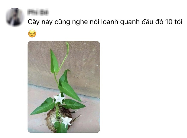  Cười bò khi dân mạng đua nhau chế ảnh giao dịch lan đột biến tiền tỷ  - Ảnh 6.