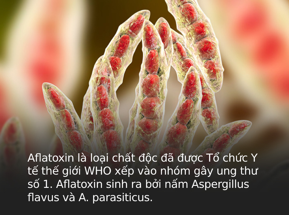 Chỉ 1mg đã đủ gây ung thư, 20mg gây chết người, loại chất độc này thường dễ có mặt ở 5 loại thực phẩm quen thuộc trong nhà bếp và cách phòng tránh đúng nhất - Ảnh 1. Chỉ 1mg đã đủ gây ung thư, 20mg gây chết người, loại chất độc này thường dễ có mặt ở 5 loại thực phẩm quen thuộc trong nhà bếp và cách phòng tránh đúng nhất - Ảnh 1.