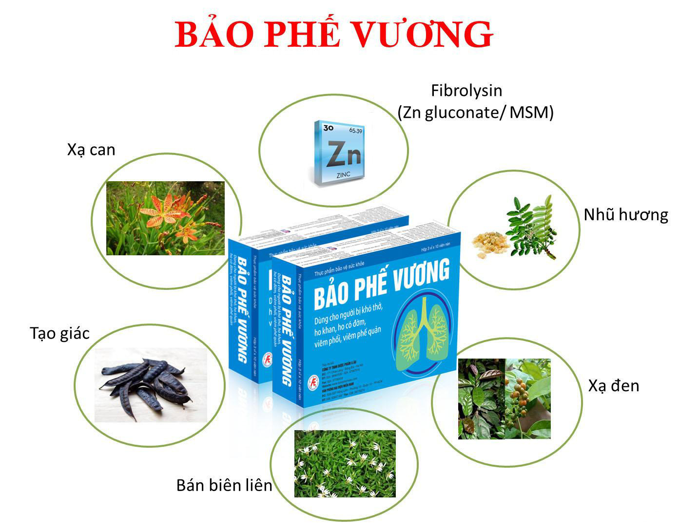 Bảo Phế Vương: Giải pháp cho người bị viêm phế quản kéo dài - Ảnh 3. Bảo Phế Vương: Giải pháp cho người bị viêm phế quản kéo dài - Ảnh 3.