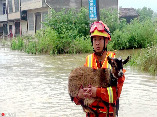 Trẻ em được giải cứu, riêng chó mèo lợn gà động vật hoang dã tự chạy trốn trong mưa lũ ở Trung Quốc - Ảnh 10.