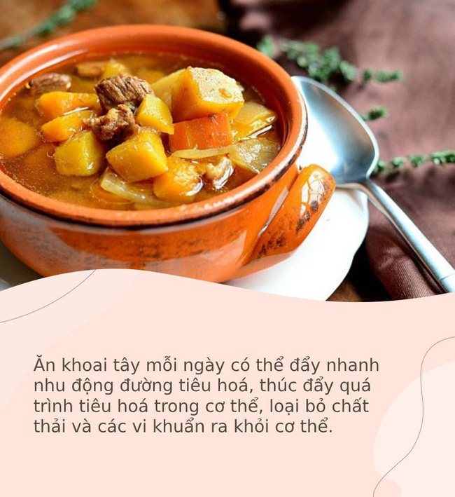 Công thức ngăn ngừa ung thư 2-1-1 đến từ những nguyên liệu quen thuộc trong nhà bếp, chị em áp dụng mỗi ngày sẽ đạt hiệu quả bất ngờ - Ảnh 4. Công thức ngăn ngừa ung thư 2-1-1 đến từ những nguyên liệu quen thuộc trong nhà bếp, chị em áp dụng mỗi ngày sẽ đạt hiệu quả bất ngờ - Ảnh 4.