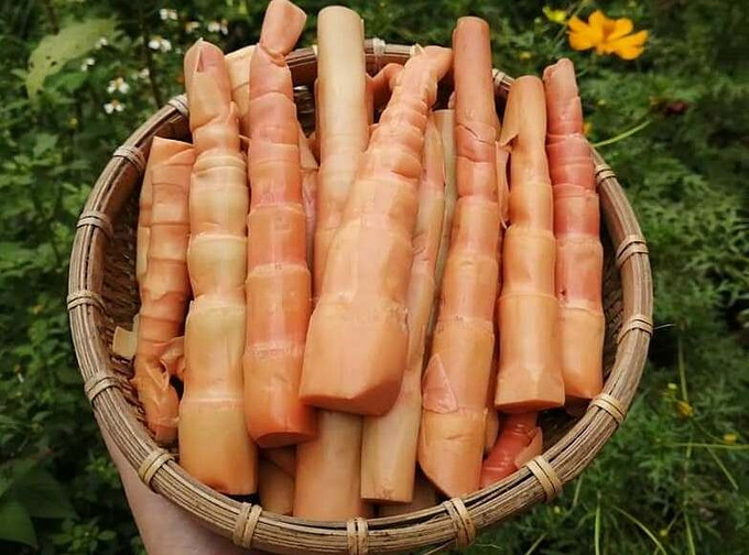 Măng le đỏ gần 200.000 một kg vẫn hút khách - Ảnh 2. Măng le đỏ gần 200.000 một kg vẫn hút khách - Ảnh 2.