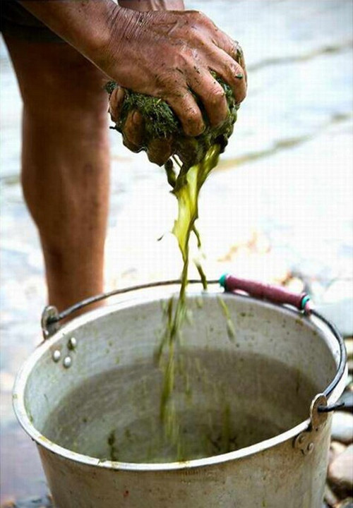 Kinh hãi nhà hàng bán món lẩu nặng mùi phân bò mà vẫn đắt khách - Ảnh 4.